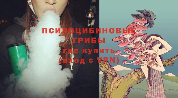 спиды Армянск