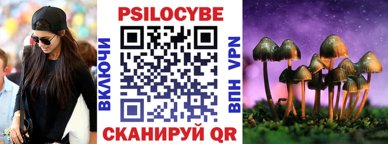Псилоцибиновые грибы прущие грибы  Аркадак 